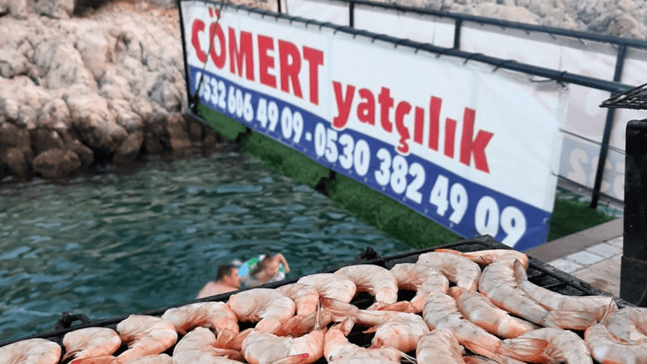 Mersin Tekne Turu - Mersin Tekne Turu -